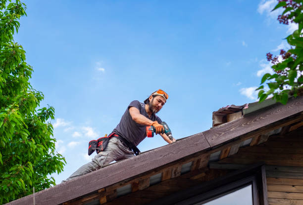 Best Wood Shake Roofing  in Bement, IL